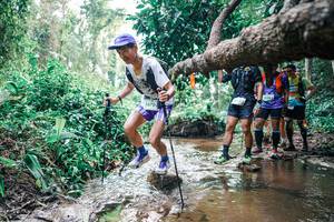 BIB: 
                            <button type="button" onclick="openModal(25373065)" class="btn btn-primary btn-sm float-right btn-popup" data-toggle="modal" data-target=".modal-high-quality">
                        <i class="fas fa-shopping-cart"></i> Add to Cart
                    </button>
                                            <button type="button" onclick="isThisMe(25373065, true)" class="btn btn-success btn-sm float-right btn-popup btn-isme hidden" data-toggle="tooltip" data-placement="bottom" title="นี่คือรูปของคุณใช่ไหม คลิกที่นี่เพื่อเอาเข้าอัลบั้ม">
                        <i class="fas fa-plus"></i> Add to album
                    </button>
                    <button type="button" onclick="isThisMe(25373065, false)" class="btn btn-warning btn-sm float-right btn-popup btn-isnotme hidden">
                        <i class="fas fa-ban"></i> Remove from album
                    </button>